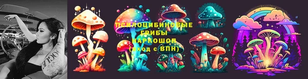 ECSTASY Алзамай