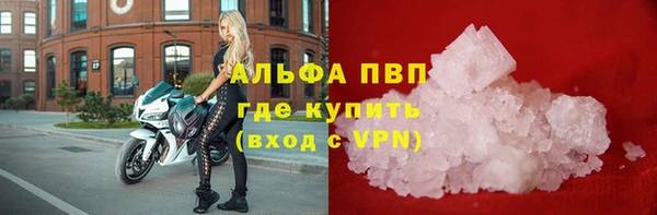 ECSTASY Алзамай