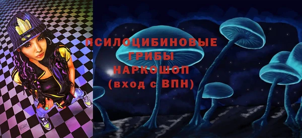 ECSTASY Алзамай