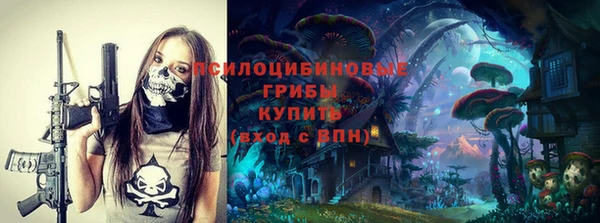 винт Армянск