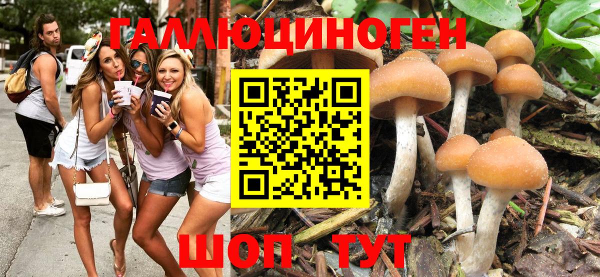 Ангарск  Галлюциногенные грибы Psilocybe  Вход с VPN 